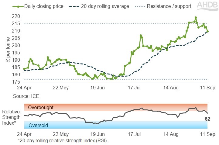 Line graph of UK feed futures Nov-26 contract prices over the past six months.
